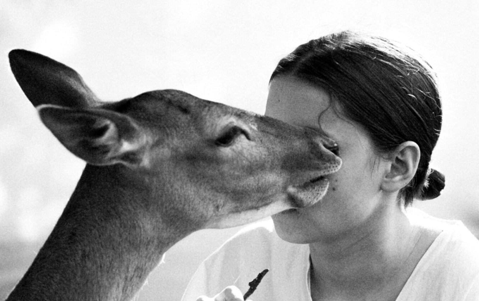 marie luise baumschlager
 