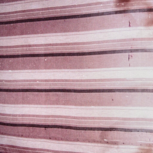 marie luise baumschlager
 